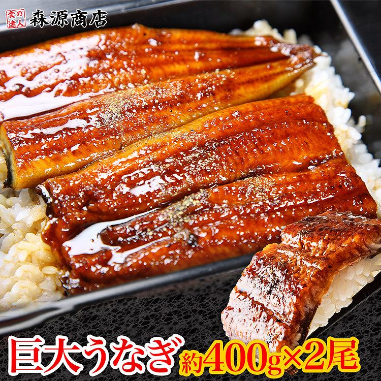 うなぎ 鰻 巨大 うなぎ蒲焼 2尾 約400g×2