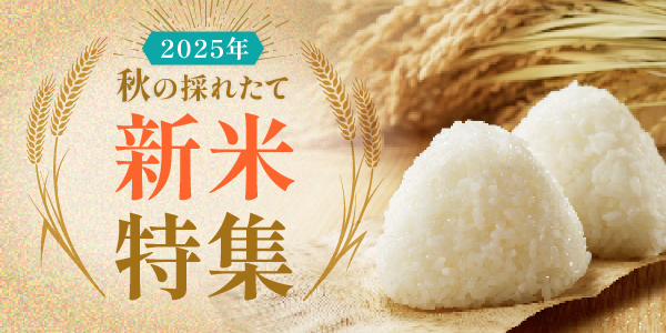 新米特集