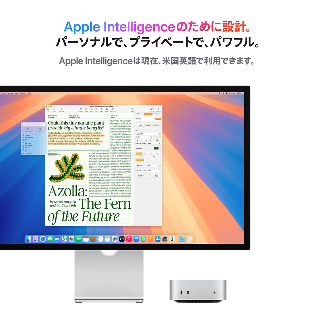 Mac mini M4 【11月まで限定保証あり】【当日発送】 Mac mini(M4)｜Apple Rewards Store｜永久不滅ポイント・UC