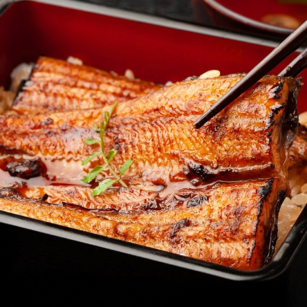 うなぎ 鰻 巨大 うなぎ蒲焼 2尾 約400g×2